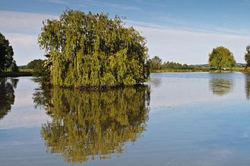 Crissey (Saône et loire)