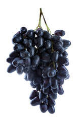 Fresh ripe grapes, isolated on white