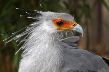 Sekretär