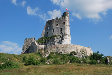 zamek Mirów © Olga Korowacka