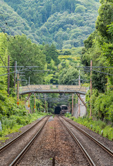 Railways in Arashiyama Japan passing through bamboo forest