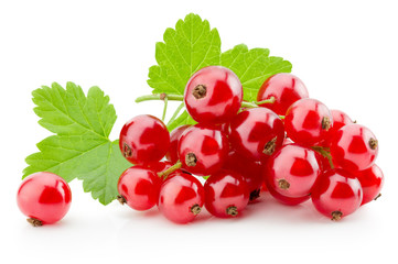 red currants isolated on the white background - 90654881