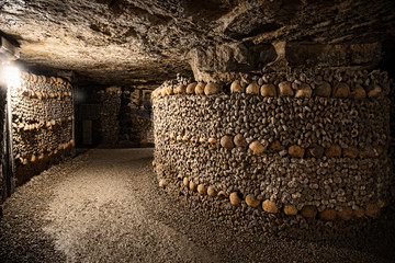 Fototapeta premium Catacombs of Paris - Skulls and Bones in the Realm of the Dead -4