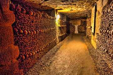 Fototapeta na wymiar Catacombs of Paris - Skulls and Bones in the Realm of the Dead -3