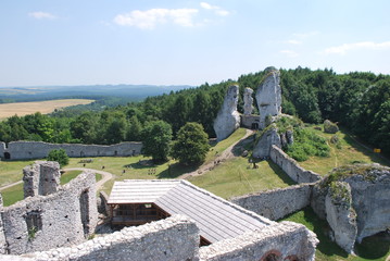 Zamek Ogrodzieniec © Olga Korowacka