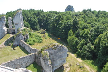 Zamek Ogrodzieniec © Olga Korowacka
