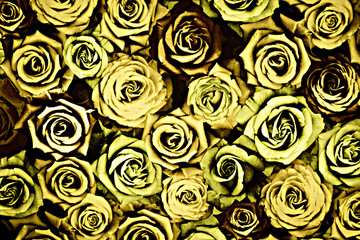 texture fabric of rose for background