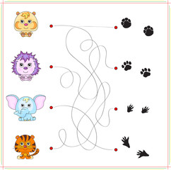 Hamster, hedgehog, elephant and tiger with their traces of foot