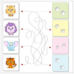 Hamster, hedgehog, elephant and tiger with their traces of foot