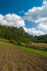 Fototapeta na wymiar Rocks, field and fence - Súľov, Slovakia