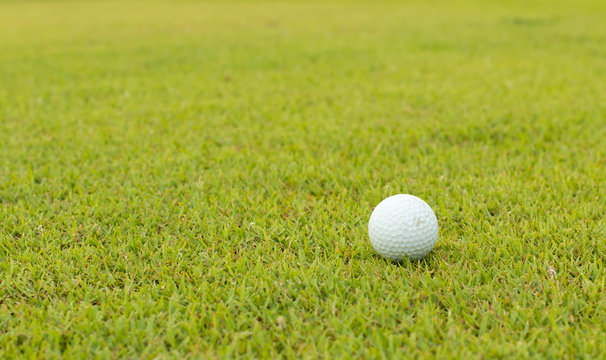golf ball in fairway