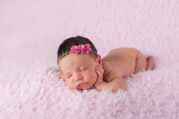 Newborn Baby Girl Wearing a Pink Rose Headband