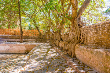 Fototapeta premium Fasilidas baths