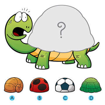 Vector Illustration of make the choice and connect matching turtle shell