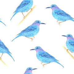 Watercolor pattern