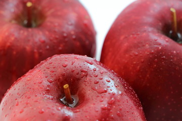 Sweet red apple fruit