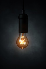 Vintage light bulb