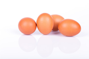 egg