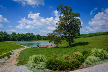 Beautiful calm summer landscape