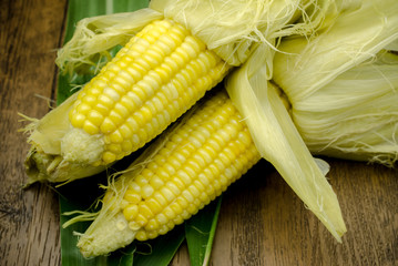 Steaming fresh corn on wooden table, Close up