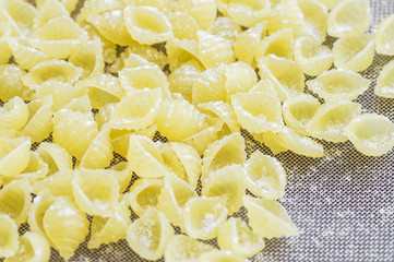 Conchiglie pasta closeup