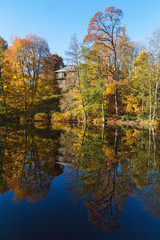 Deciduous forest in autumn colors reflecting in the water, with a house on the hill