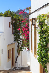 Fototapeta na wymiar Narrow street in Chora on the island of Patmos, belonging to the Dodecanese, Greece. Beautiful flowers of bougainvillea contrast to the white walls of houses and blue sky