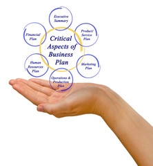 Critical Aspects of Business Plan