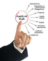 Assets at Risk