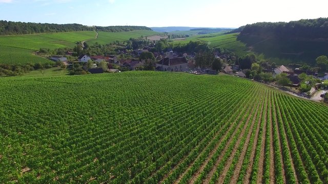 Aerial view of the french village Viviers sur artaut located in Champagne. 4K video 3840 X 2160 (30 ips)