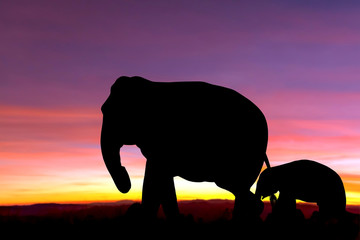 Mother and son were walking on the mountains, in the forests.