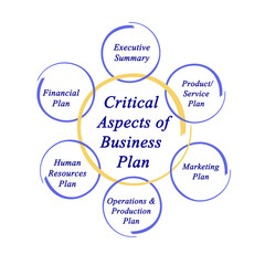 Critical Aspects of Business Plan