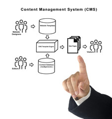 Content Management System