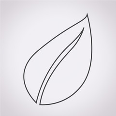 Leaf Icon