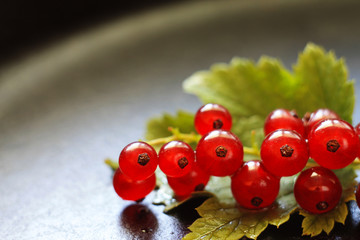 red currants on a heavily blurred  background