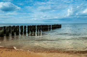 sitting gulls © summit fever