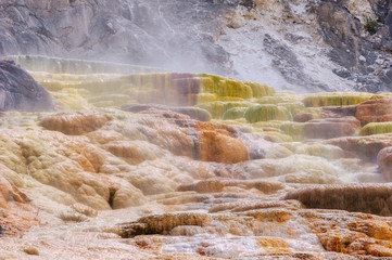 Mammoth Hot Springs in Yellowstone National Park
