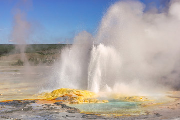 Grand Group Geyser, Upper Geyser Basin, Yellowstone