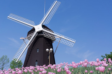 Windmills with vibrant tulips in osaka park. 
