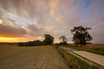 Wschód słońca nad polami i wiejską drogą © Mike Mareen