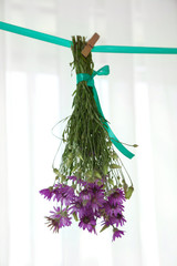Bouquet of wild flowers drying on thong on light background