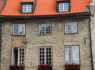 Riga, la casa del gatto