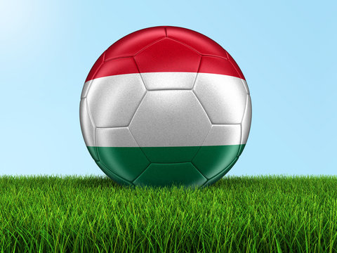 Soccer football with Hungarian flag on grass