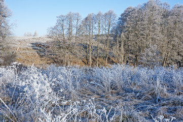 frozen landscape