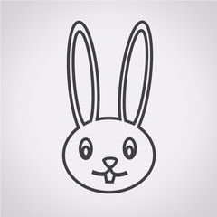 rabbit image icon
