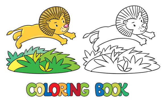 Coloring book of little lion
