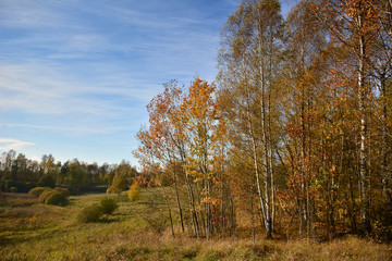 autumn landscape