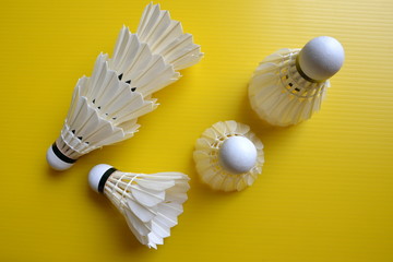 Shuttlecock