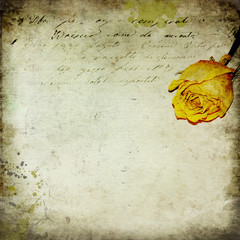 Obraz premium Vintage background with rose and old writing