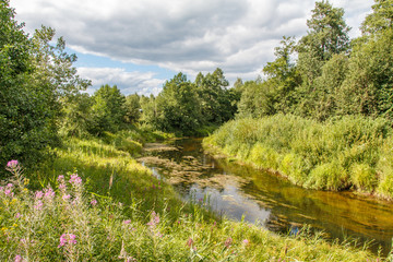 Речка в лесу